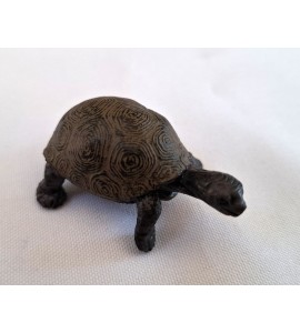 copy of Cycle de vie de la tortue - plateau + figurines