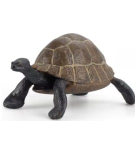 copy of Cycle de vie de la tortue - plateau + figurines