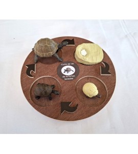 copy of Cycle de vie de la tortue - plateau + figurines