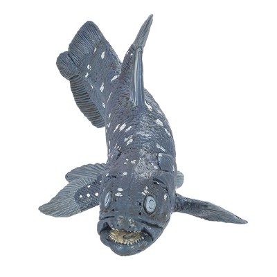 Coelacanthe