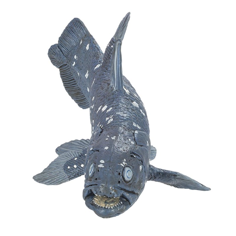 Coelacanthe