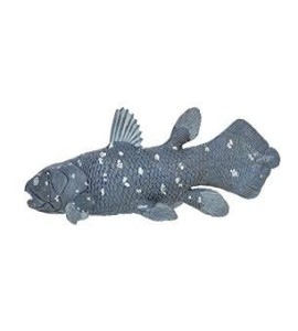 Coelacanthe