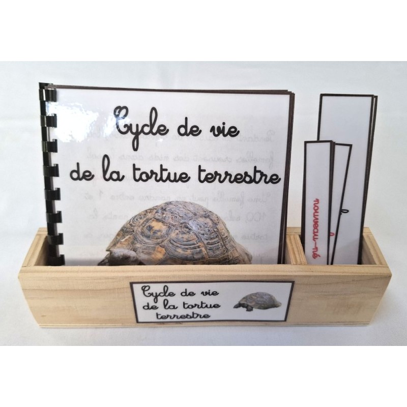 copy of Nomenclature du...