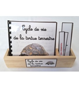 copy of Nomenclature du cycle de vie du serpent