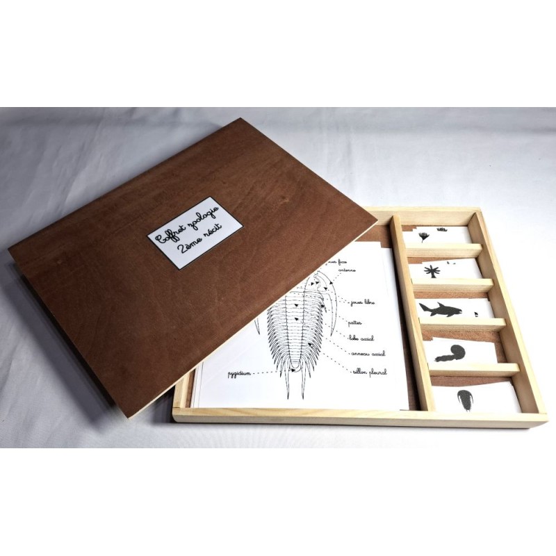 Coffret zoologie 2ème récit