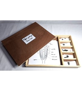 Coffret zoologie 2ème récit