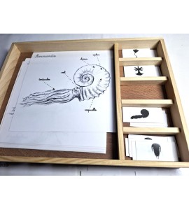 Coffret zoologie 2ème récit