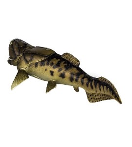 Dunkleosteus