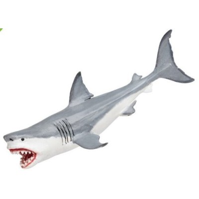 Megalodon