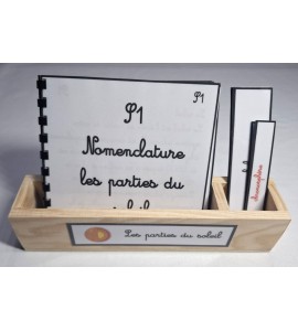 Nomenclature Les parties du soleil