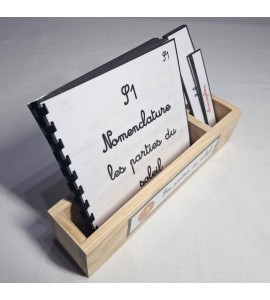 Nomenclature Les parties du soleil