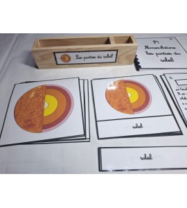 Nomenclature Les parties du soleil