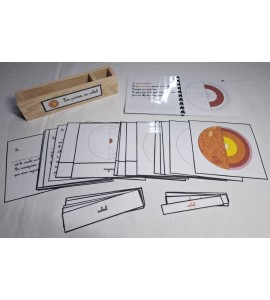 Nomenclature Les parties du soleil