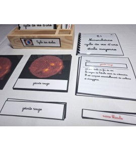 Nomenclature - Cycle des étoiles