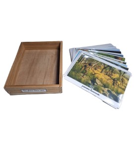 Tri photos 2ème récit