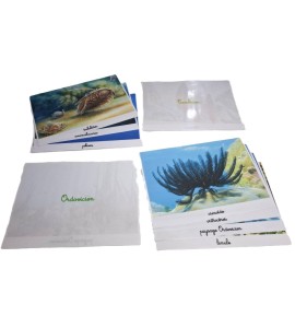 Tri photos 2ème récit