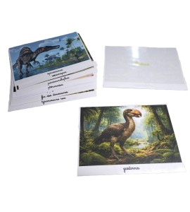 Tri photos 2ème récit