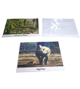 Tri photos 2ème récit