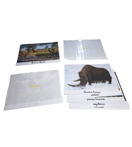 Tri photos 2ème récit