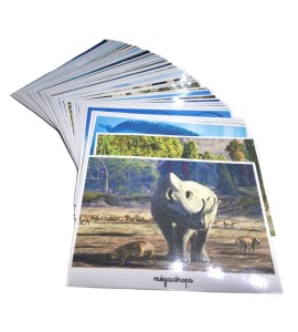 Tri photos 2ème récit