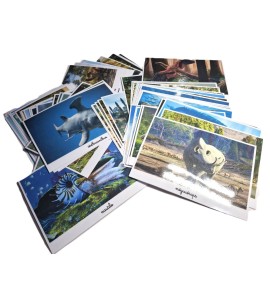 Tri photos 2ème récit