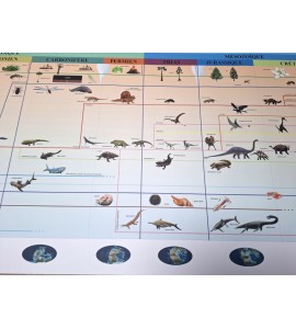 frise évolution de la vie - nouvelle classification