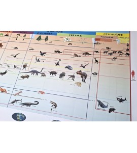 frise évolution de la vie - nouvelle classification