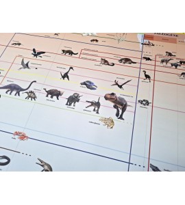 frise évolution de la vie - nouvelle classification