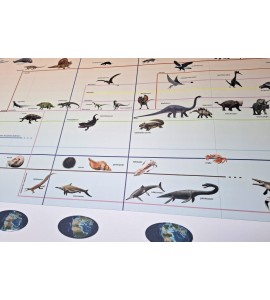 frise évolution de la vie - nouvelle classification