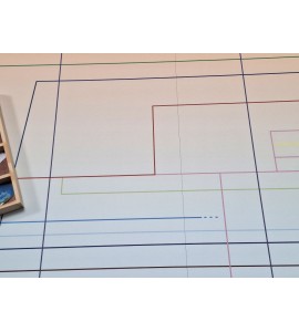 frise évolution de la vie - nouvelle classification