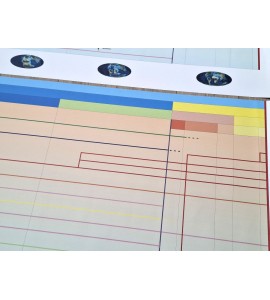frise évolution de la vie - nouvelle classification