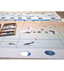 frise évolution de la vie - nouvelle classification