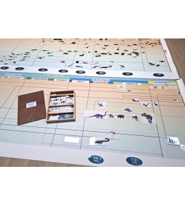 frise évolution de la vie - nouvelle classification