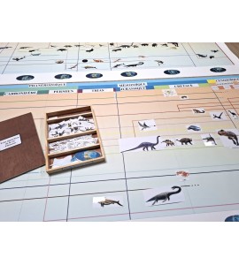 frise évolution de la vie - nouvelle classification