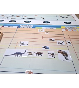 frise évolution de la vie - nouvelle classification