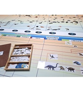 frise évolution de la vie - nouvelle classification