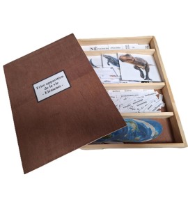 frise évolution de la vie - nouvelle classification