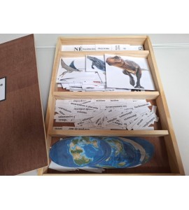 frise évolution de la vie - nouvelle classification