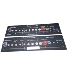 Cycle de vie du soleil - bâches + étiquettes