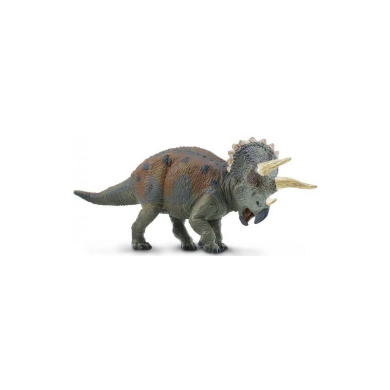 Triceratops