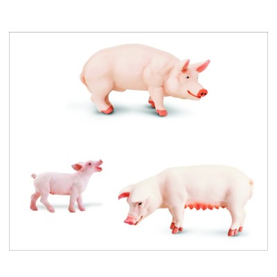 Famille des cochons