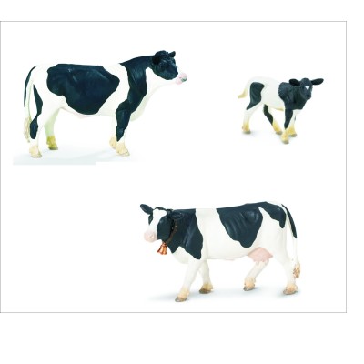 Famille des bovins Holstein