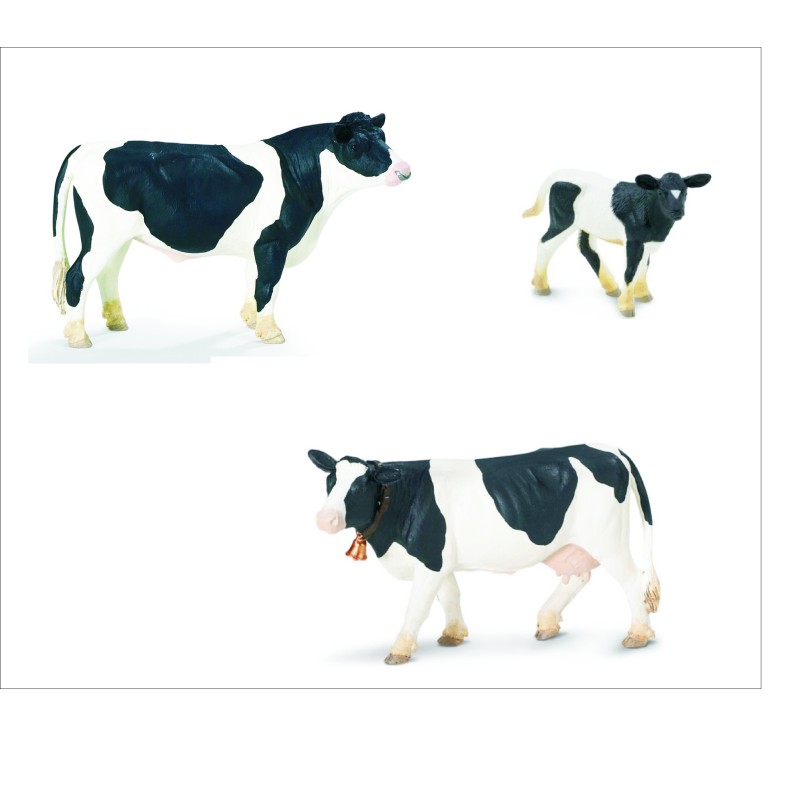 Famille des bovins Holstein