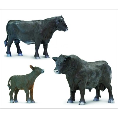 Famille des bovins de race Angus