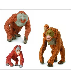 Famille orang-outang