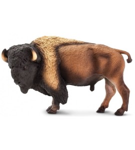 Bison