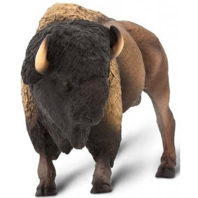 Bison