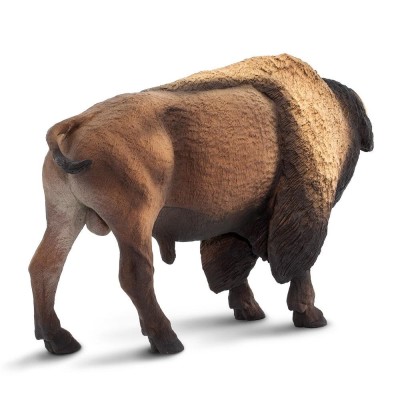 Bison