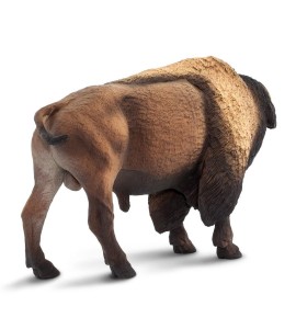 Bison