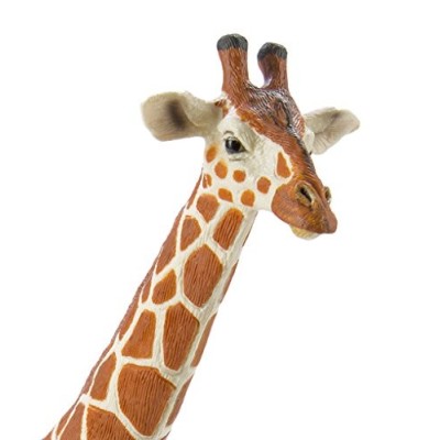 Girafe réticulée